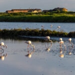 soluciones-naturaleza-reducir-consumo-agua-bbva-sostenibilidad-1