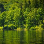 soluciones-naturaleza-reducir-consumo-agua-bbva-sostenibilidad-2