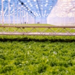 Finanzas de transición: qué son y por qué son clave para descarbonizar la industria