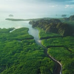 Energía osmótica: qué es y cómo aprovecha la mezcla de agua dulce y salada