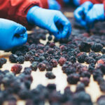 Inteligencia artificial en la cadena alimentaria: clave para reducir el desperdicio