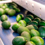 Inteligencia artificial y sostenibilidad: casos de éxito y soluciones reales