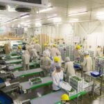 Cuando el aguacate colombiano de Cartama conquistó los cinco continentes