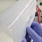 El polímero biodegradable de DAN*NA que reemplaza a los plásticos convencionales