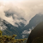 ‘Hotspots’ de biodiversidad: los puntos clave para conservar la riqueza natural de la Tierra