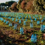 Tecnología CDR: soluciones para eliminar el CO₂ de la atmósfera