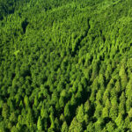 Tecnología CDR: soluciones para eliminar el CO₂ de la atmósfera