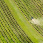 BBVA acelera el crecimiento de su negocio agro con un modelo global de especialización presente en siete países