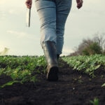 BBVA y Empresas Mágicas se unen para impulsar el tejido empresarial de 169 pueblos de la España rural