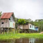 Bancamía y Financiera Confianza, entidades de la FMBBVA, aceleran su apuesta por los emprendimientos verdes en la Amazonía
