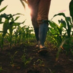 Sector agroalimentario: por qué es clave para la economía y cuáles son sus retos