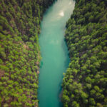 ¿Qué es la inteligencia ambiental? Integrar la IA para proteger la biodiversidad