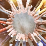 diverse people hands resource bbva diverse people hands resource bbva