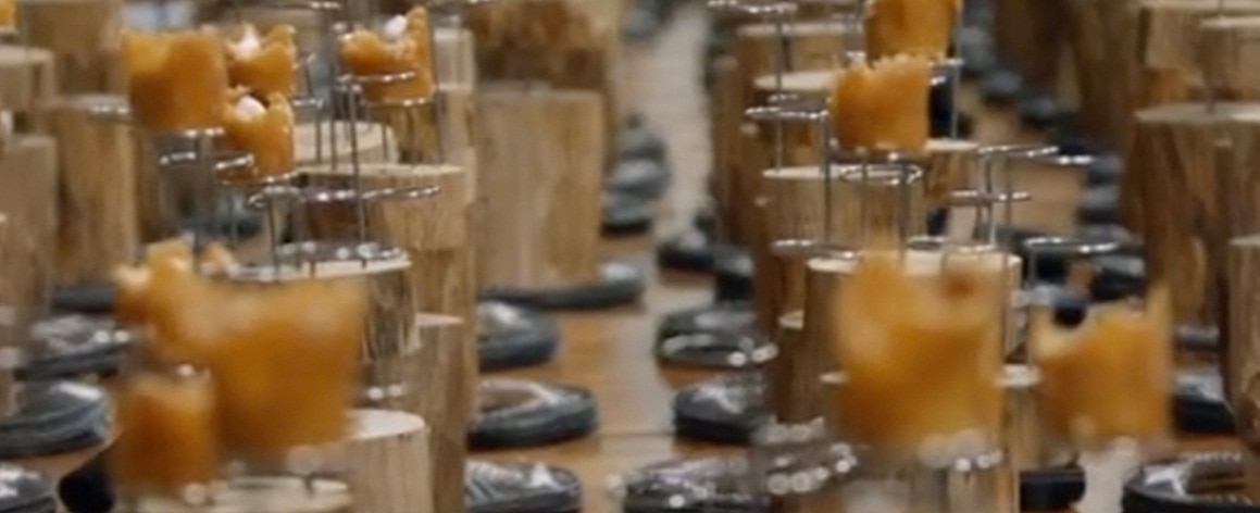 frame-from-cooking-up-a-tribute-elaboration-of-the-world-during-the-bbva-el-celler-de-can-roca-american-tour Picture of frame-from-cooking-up-a-tribute-elaboration-of-the-world-during-the-bbva-el-celler-de-can-roca-american-tour
