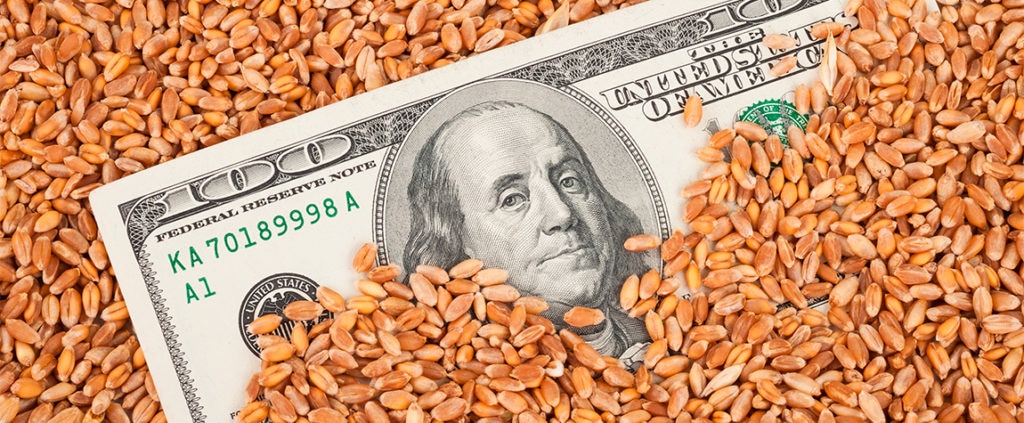 ‘Commodities’- un dolor de cabeza para las economías de América Latina Fotografía de ‘Commodities’- un dolor de cabeza para las economías de América Latina