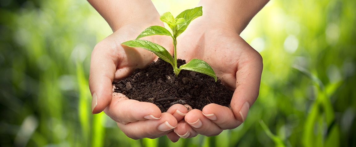 Smart cities sustainability progress environment earth plant Picture of Smart cities sustainability progress environment earth plant