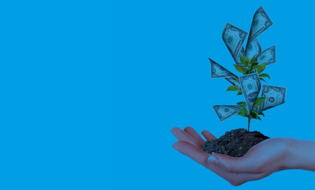 plant responsable banking reputation clean plant responsable banking reputation clean