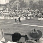 Image of BBVA Colombia Cattle Market 1950s