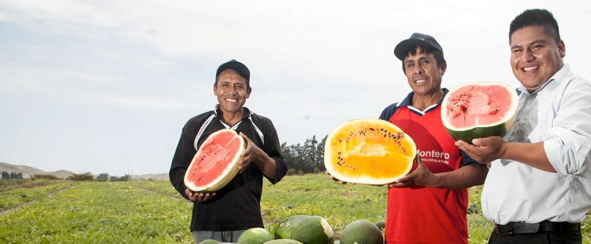Financiera Confianza: Inclusion and fight against poverty