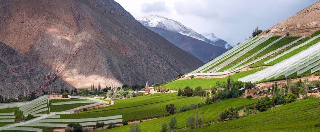 Picture of Landscape Valley nature mountain Valle del Elqui Chile BBVA