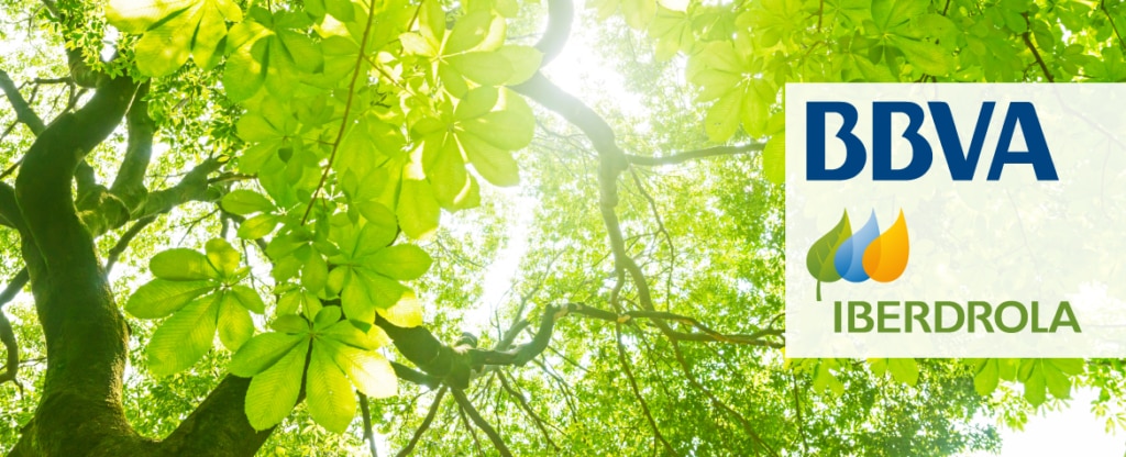 Iberdrola green loan