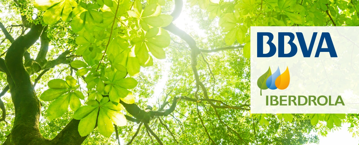 Iberdrola green loan