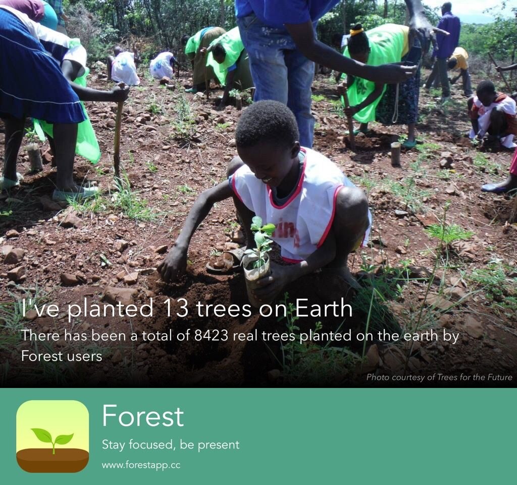 Forest plugin resource CREDIT TO FOREST