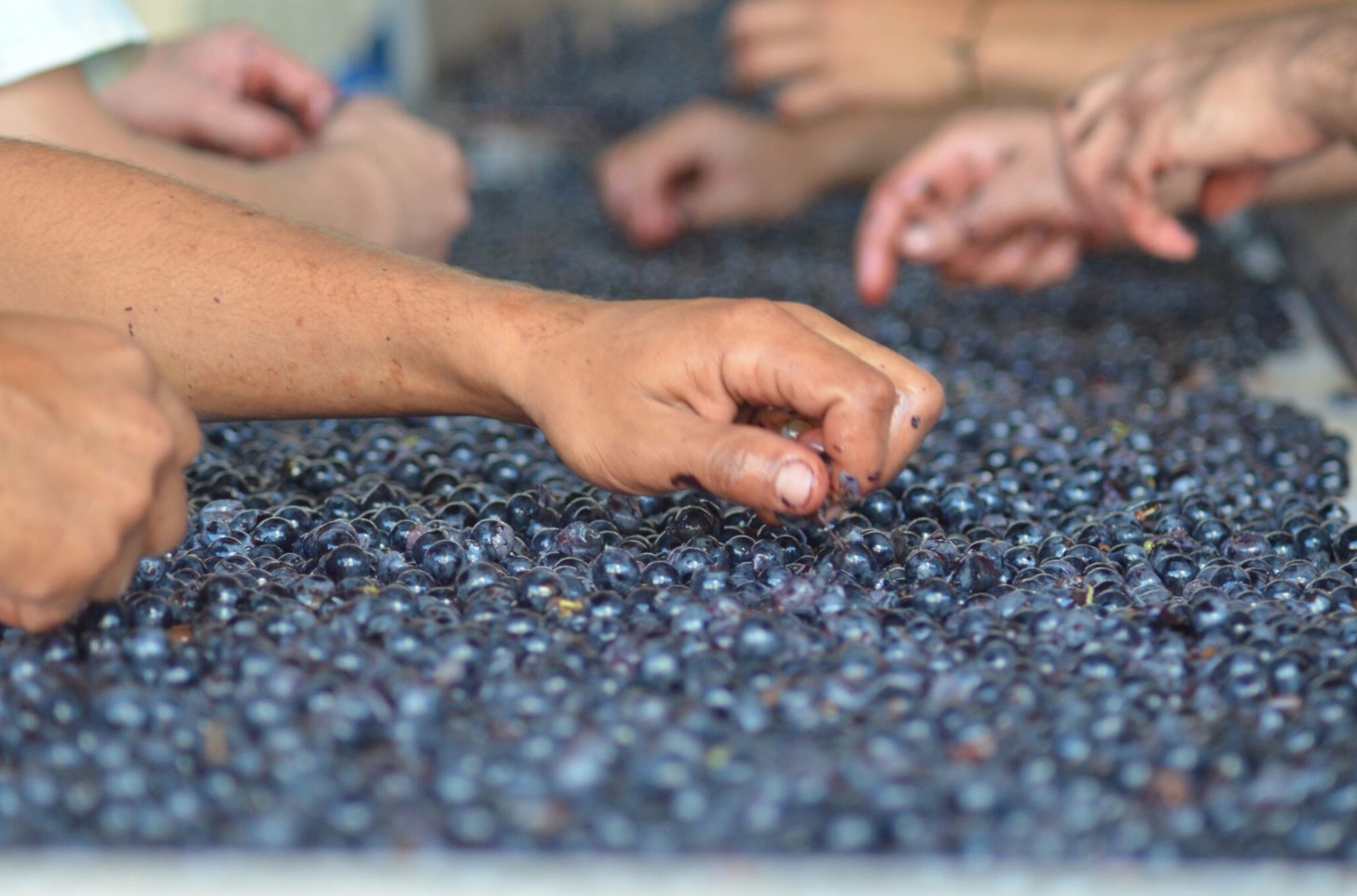 picture of uruguay bodega irurtia bbva