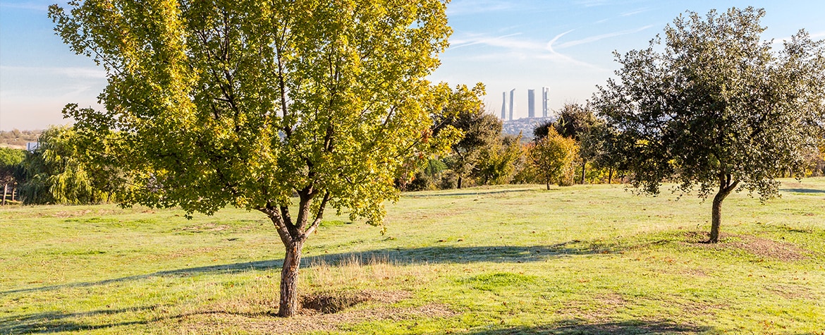 Madrid community green projects BBVA