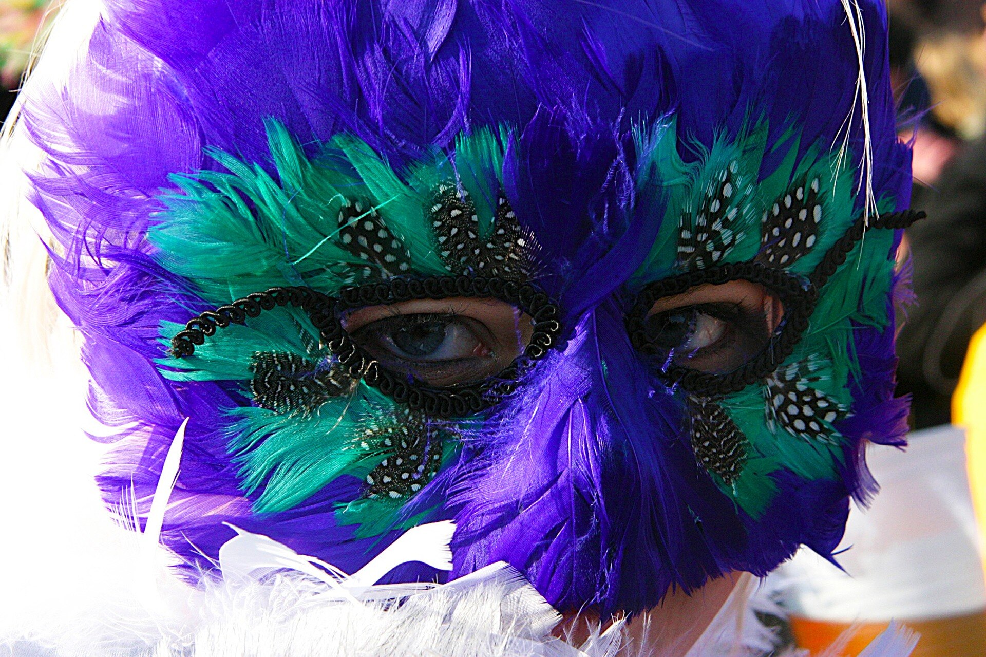 Mardi Gras celebration