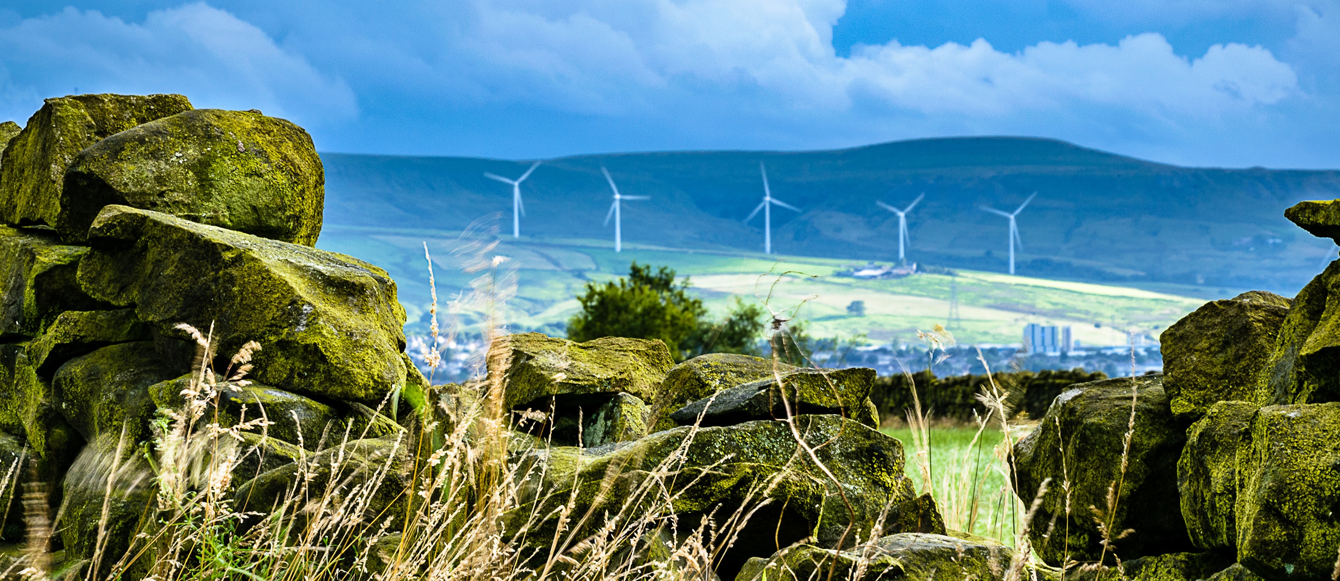 Photography BBVA, the most active Spanish bank on sustainable financing in 2017