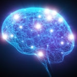 bbva Brain x-ray with neurons bbva Brain x-ray with neurons