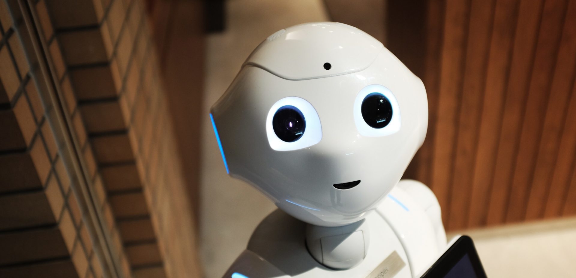 robot friend toy