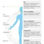infografia-cibbva-biometric-technology