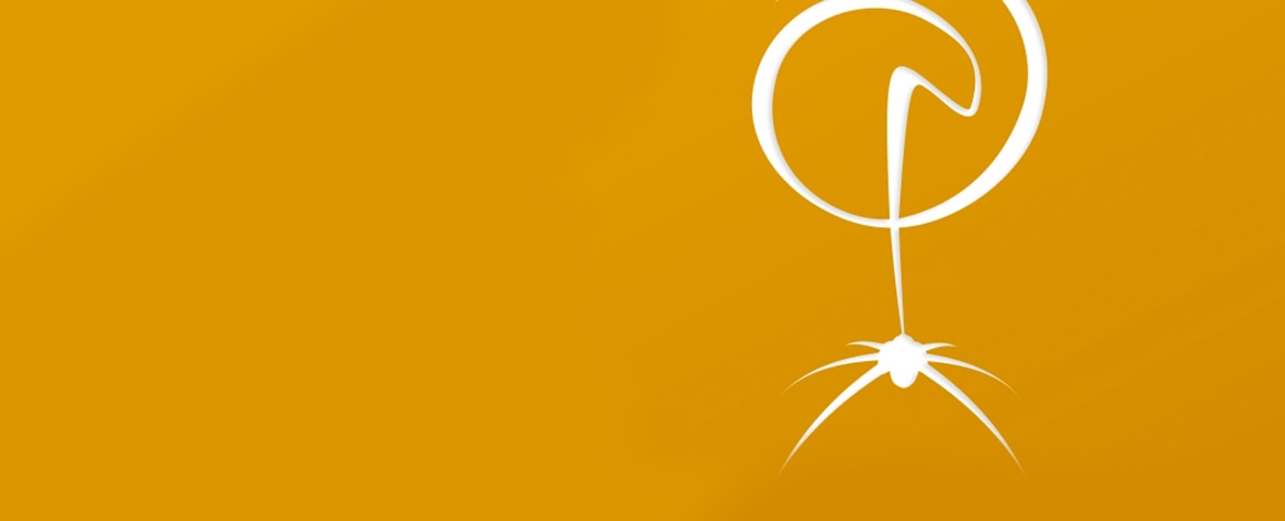 golden-spider-award-garanti-bank-bbva